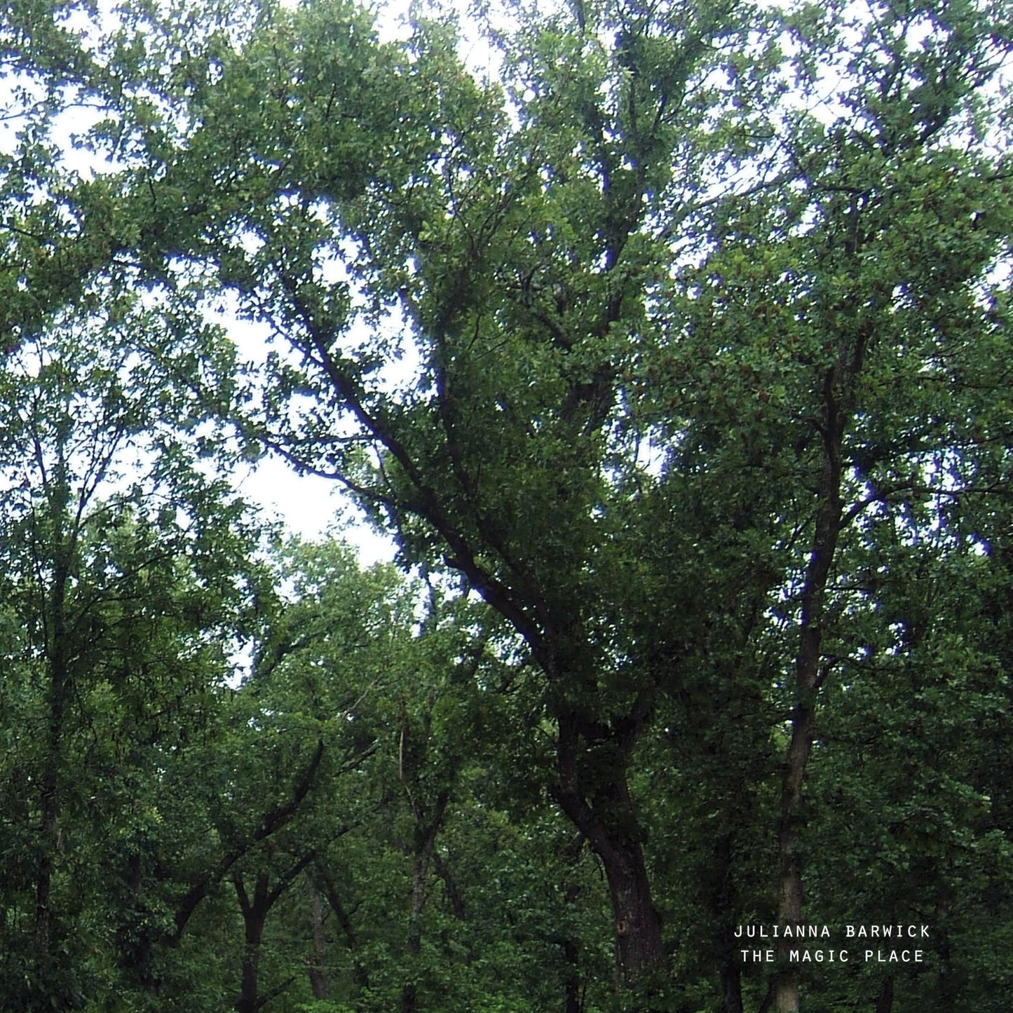 Julianna Barwick - The Magic Place (2024 Remastered) - Import Vinyl LP Record