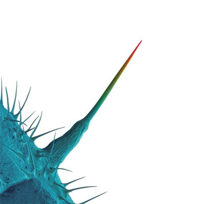Peter Gabriel - And I'll Scratch Yours - Import CD