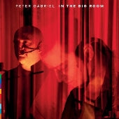 Peter Gabriel - In the Big Room - Import 2 CD