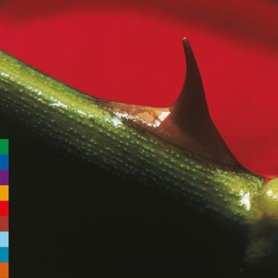 Nusrat Fateh Ali Khan, Michael Brook - Night Song - Import Green Vinyl LP Record