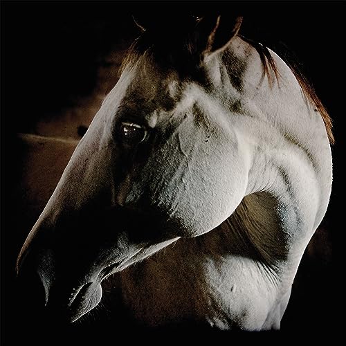 Brother Dege - How to Kill a Horse - Import CD