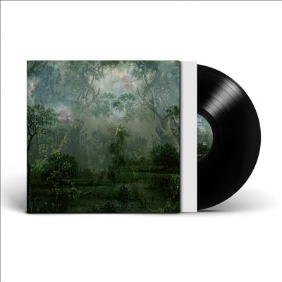 Twice A Man - The Coloured Breeze Is A New Dimension - Import Vinyl LP Record Limited Edition