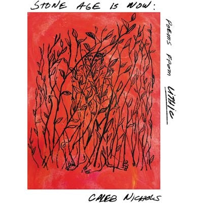 Caleb Nichols - Stone Age Is Now: Poems From Lithic - Import Vinyl LP Record
