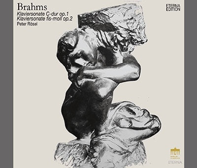 Peter Rosel  - Brahms:Piano Works / Piano Quintet - Import 5 CD