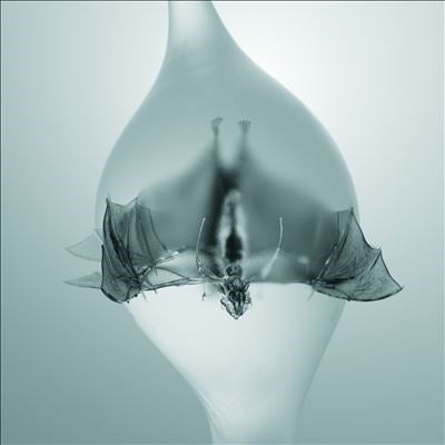 Unprocessed - Angel - Import Natural Clear Gatefold Vinyl 2 LP Record
