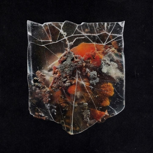 Shields - Death & Connection - Import Splattered Milk/Black Orange Vinyl LP Record