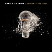 Kings Of Leon - Because of The Times - Import Vinyl 2 LP Record