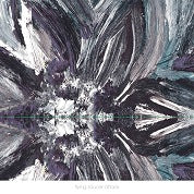 Flying Saucer Attack - Instrumentals 2015 - Import CD
