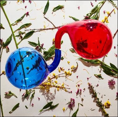 Dirty Projectors - Lamp Lit Prose - Import CD