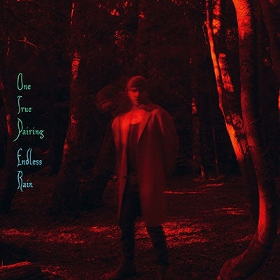 One True Pairing - Endless Rain - Import Vinyl LP Record