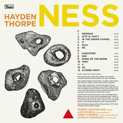 Hayden Thorpe - Ness - Import CD