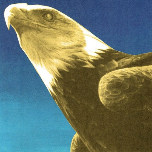 Protomartyr - Hotel Usona - Import Gold Vinyl, with ZINE [24P] LP Record