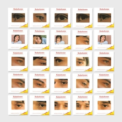 John Cale - The Academy In Peril - Import Vinyl LP Record