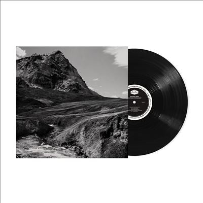 Andrew Bird - Outside Problems - Import Vinyl LP Record