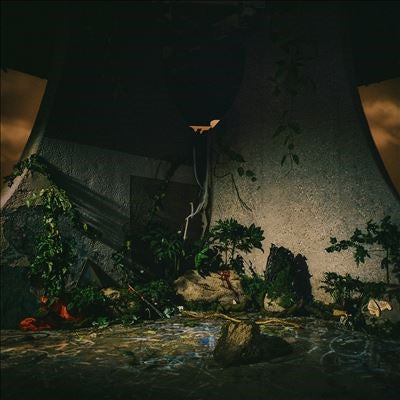 The Plot In You - The Plot in You - Import CD