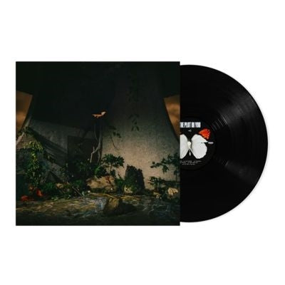 The Plot In You - The Plot in You - Import LP Recurd