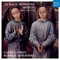 Konrad Junghanel - J.S.Bach: Motets - Import CD