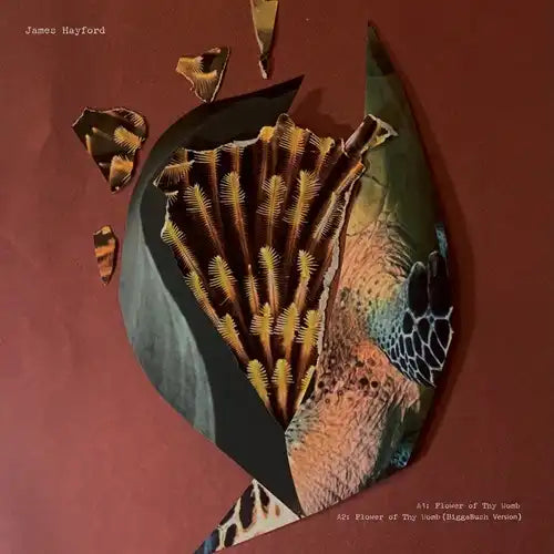 James Hayford & Biggabush - Split Ep - Import 12 Inch Record