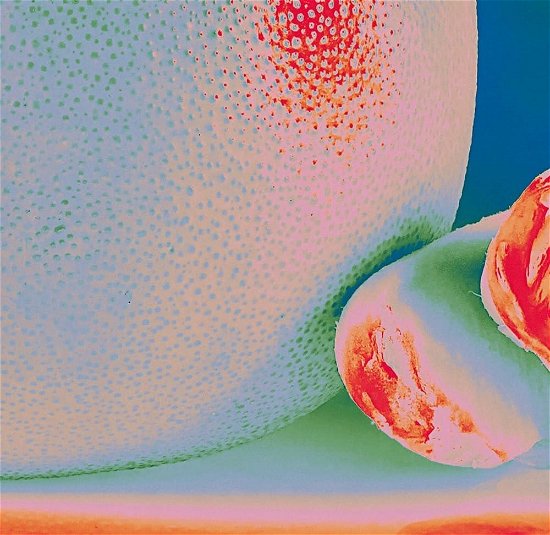 Citrus Citrus - Albedo Massima - Import Vinyl LP Record