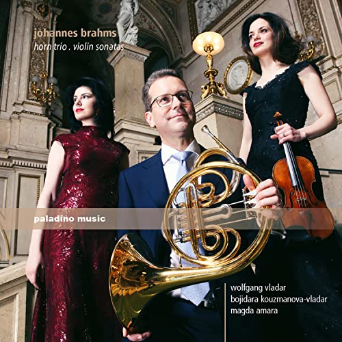 Brahms (1833-1897) - Horn Trio, Violin Sonata, 1, 3, : W.vladar(Hr)Kouzmanova-vladar(Vn)Amara(P) - Import CD