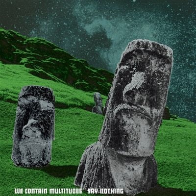 We Contain Multitudes - Say Nothing - Import Vinyl LP Record