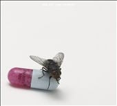 Red Hot Chili Peppers - I'm With You - Import CD