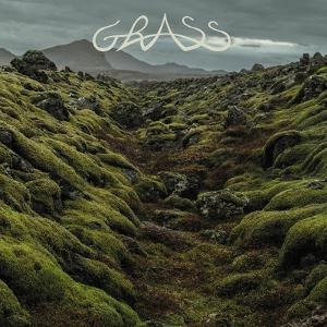 Grass - Grass - Import Vinyl LP Record