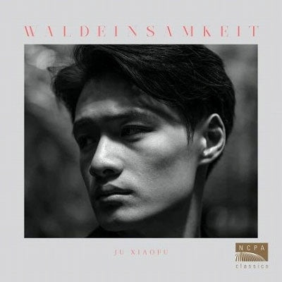 Ju Xiaofu - Waldeinsamkeit - Import 2 CD