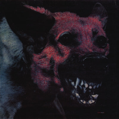 Protomartyr - Under Color of Official Right - Import CD