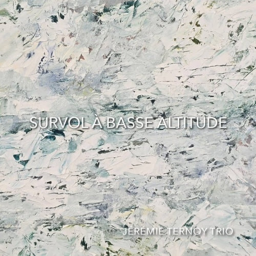 Jeremie Ternoy Trio - Survol A Basse Altitude - Import CD
