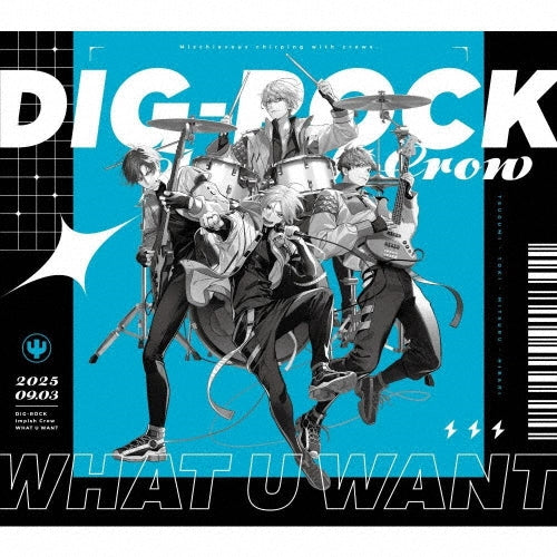 Impish Crow - What U Want - Japan CD single