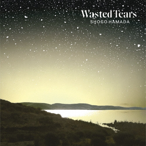 WORLD STANDARD - WASTED TEARS - Japan LP Record Limited Edition
