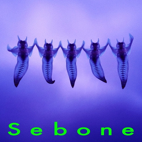 Tota - Sebone - Japan CD