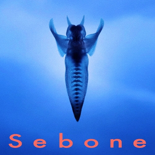 Tota - Sebone - Japan CD