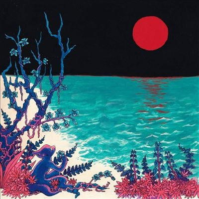 Glass Beach - The First Glass Beach Album - Import Vinyl 2 LP Record