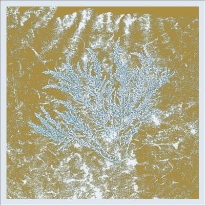 Huerco S. - For Those Of You Who Have Never (And Also Those Who Have) - Import Vinyl 2 LP Record