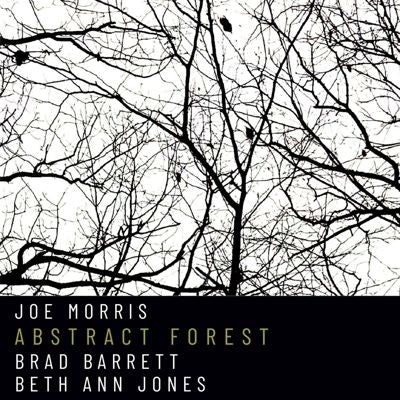 Joe Morris - Abstract Forest - Import CD