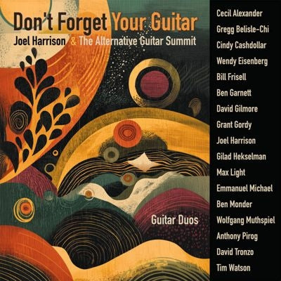 Joel Harrison - Don'T Forget Your Guitar - Import CD