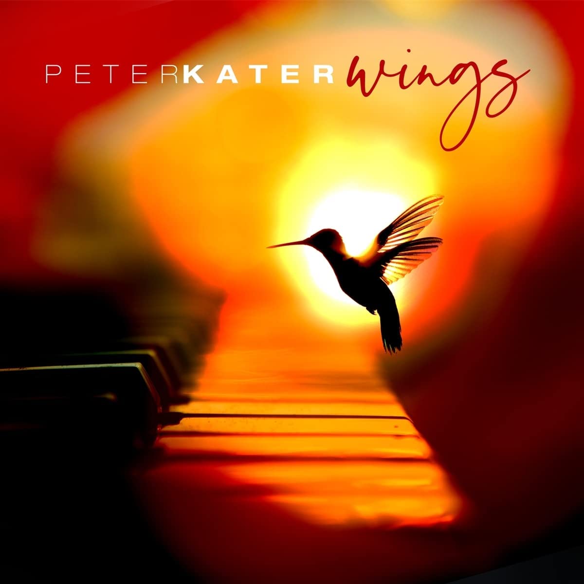Peter Kater - Wings - Import  Digipak CD