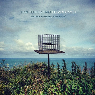 Dan Tepfer Trio - Eleven Cages - Import CD
