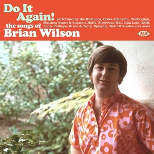 Various Artists - Do It Again! The Songs Of Brian Wilson - Import  CD