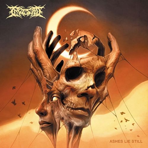 Ingested - Ashes Lie Still - Import  CD