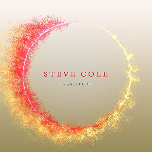 Steve Cole - Gratitude - Import CD