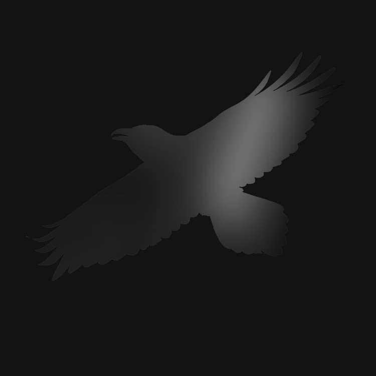 Sigur Ros - Odin's Raven Magic - Import LP Record