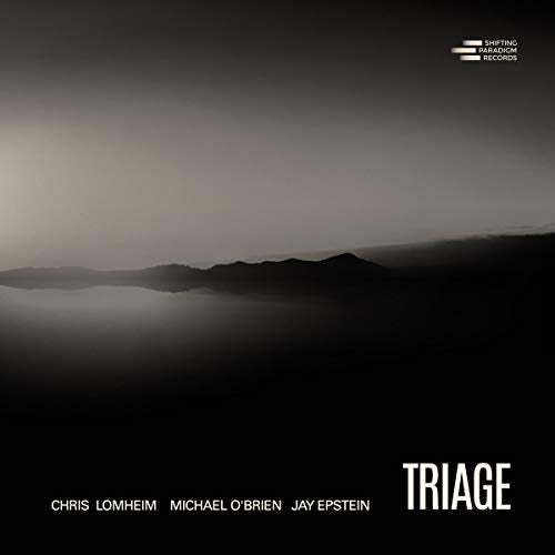 Chris Lomheim 、 Michael O'Brien 、 Jay Epstein - Triage - Import CD