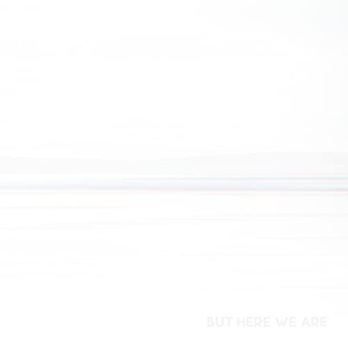 Foo Fighters - But Here We Are (Vinyl) - Import LP Record