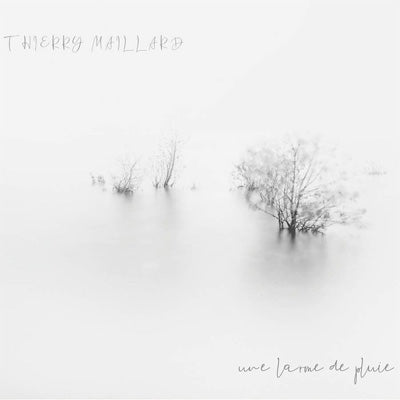 Thierry Maillard - Une Larme De Pluie - Import CD