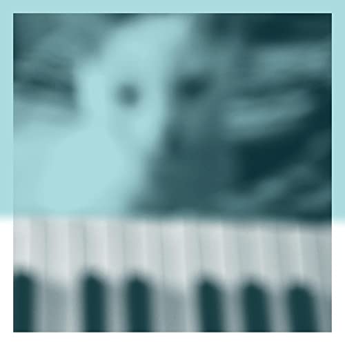 Peter Broderick - Piano Works Vol. 1 (Floating in Tucker's Basement)＜Colored Vinyl＞ - Import LP Record