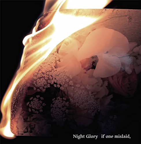 Night Glory - if one mislaid, - Japan CD