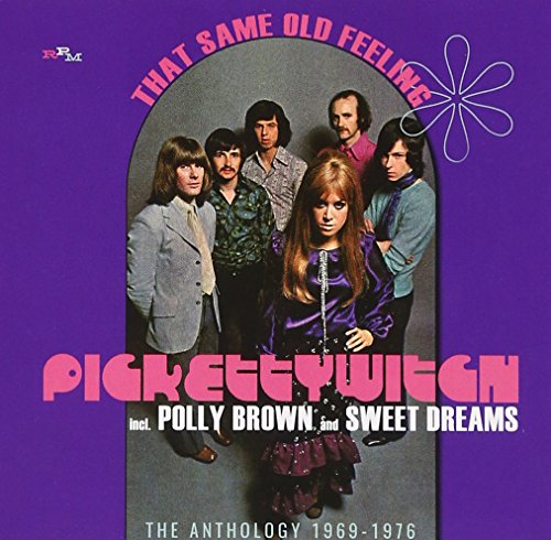 Pickettywitch - That Same Old Feeling: Anthology 1969-76 - 2 CD Import CD With Japan Obi
